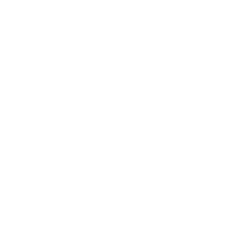 DOT Icon DOT Icon